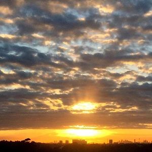 Meet your Posher, Ray