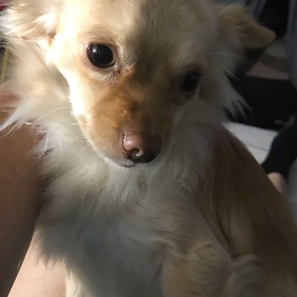 Lol not for sale!!! I just love his face
