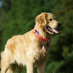 Meet your Posher, Louise