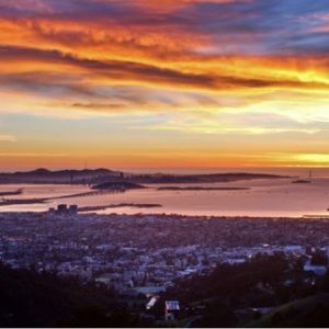 Meet your Posher, Bailey