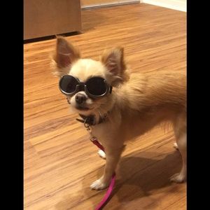 Meet your Posher, Kari