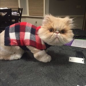 Meet your Posher, Corinne