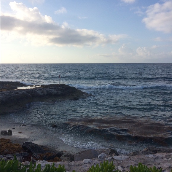 MEET THE POSHER 💕 BOOKMARK MY CLOSET😜 - Picture 3 of 3