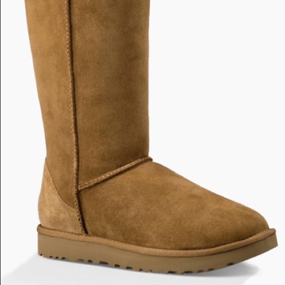 Tan tall Ugg Boots (Chestnut)