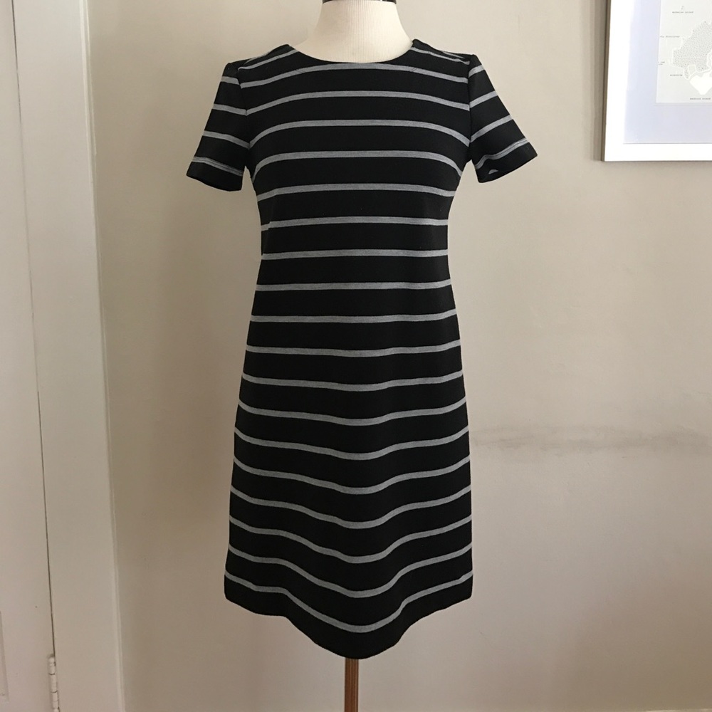 GAP petite shift dress