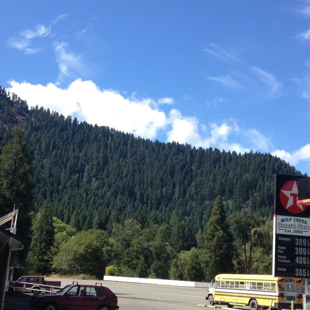 Meet your Posher, Kori