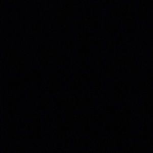 Meet your Posher, Max