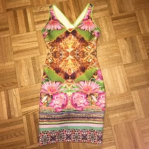 Clover Canyon Neoprene Pattern Dress