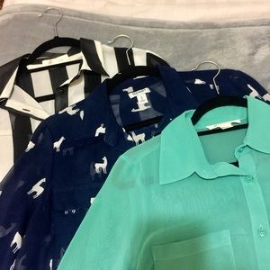 3 sheer chiffon long sleeves polo shirts