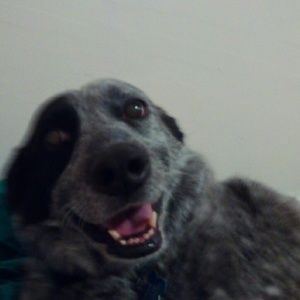 Meet your Posher, Mona