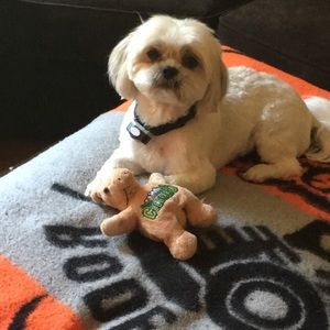 Meet your Posher, Julianna