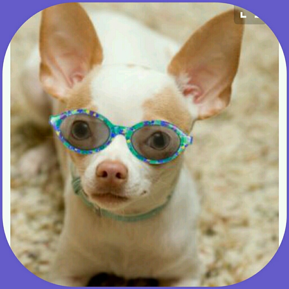 Posh Ambassador.... Joined Poshmark March 2016.