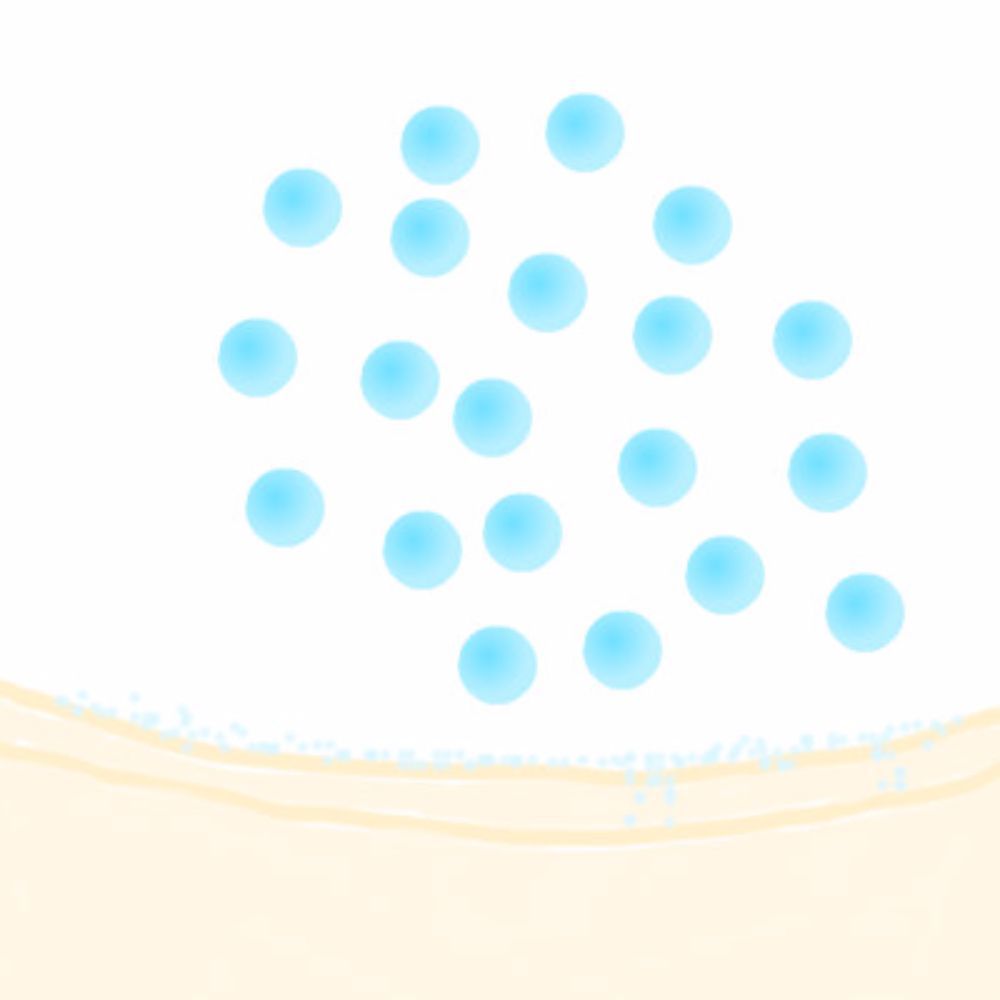 Meet your Posher, Briana