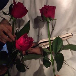 Meet your Posher, Maria