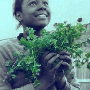 Meet your Posher, Lazeria