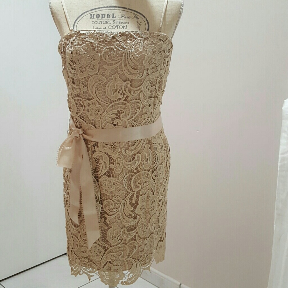 Gorgeous Strapless  Cache dress very feminine l