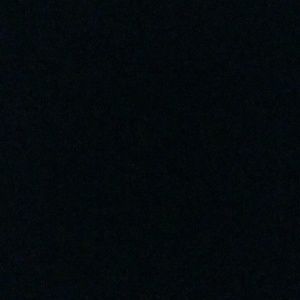 Meet your Posher, Savannah