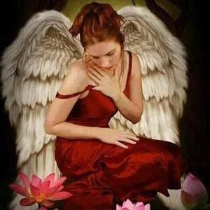 Meet your Posher, Angie