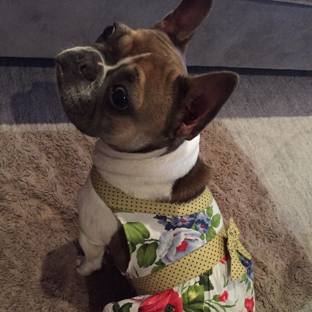 Meet your Posher, Cynthia