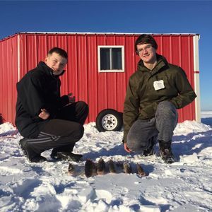 Meet your Posher, Holly