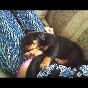 Meet your Posher, Brianna