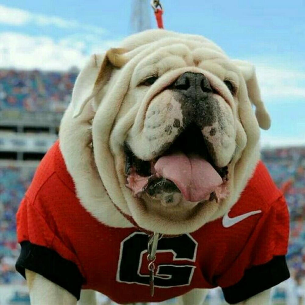 Meet your Posher, Derk