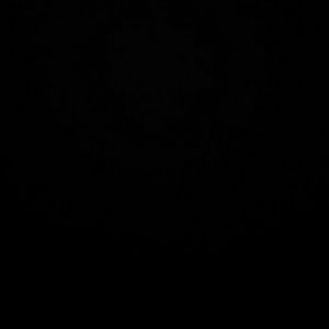 Meet your Posher, Ty