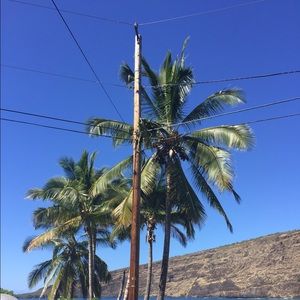 Meet your Posher, Akane