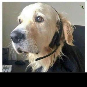 Meet your Posher, Peter