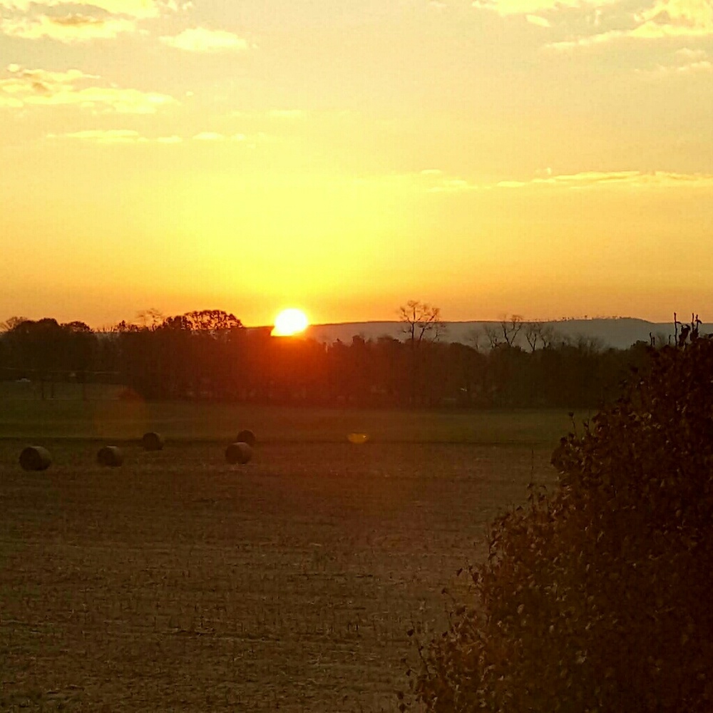 Meet your Posher, Rhonda