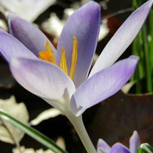 Meet your Posher, Esther