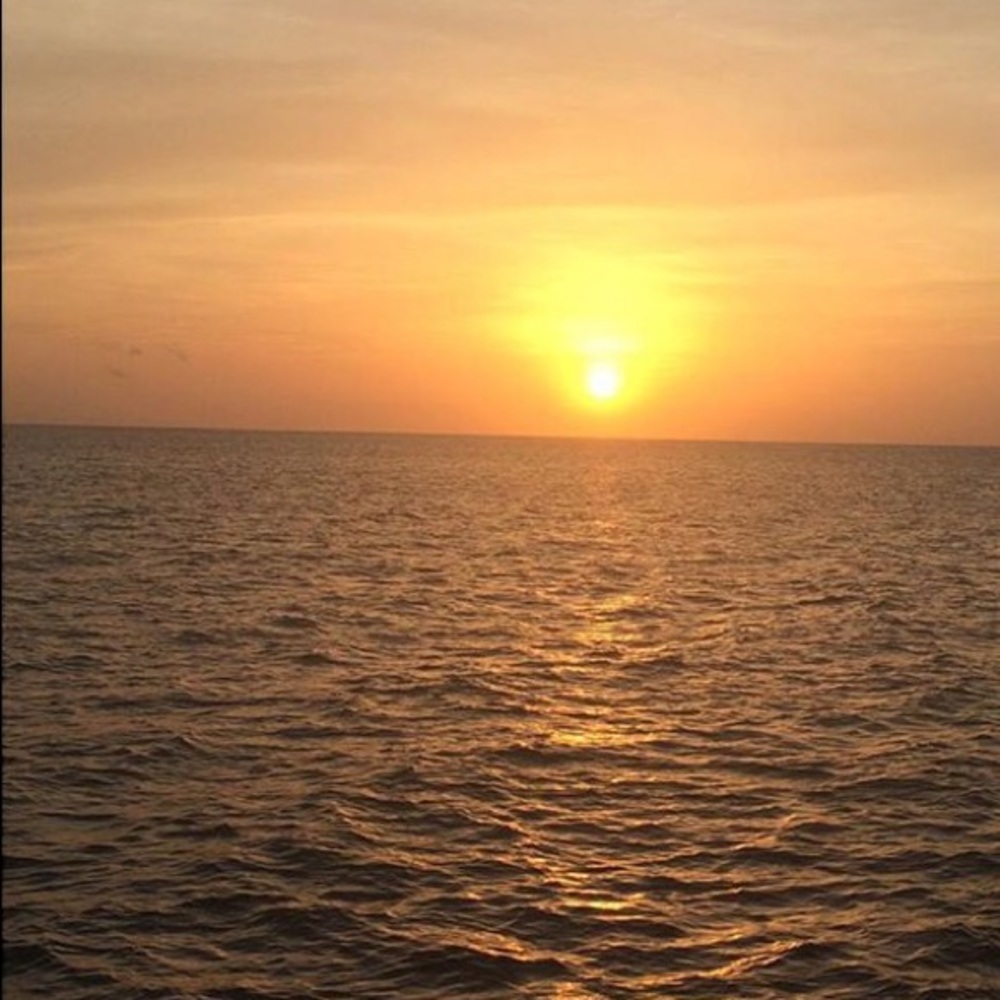 Meet your Posher, Rachael