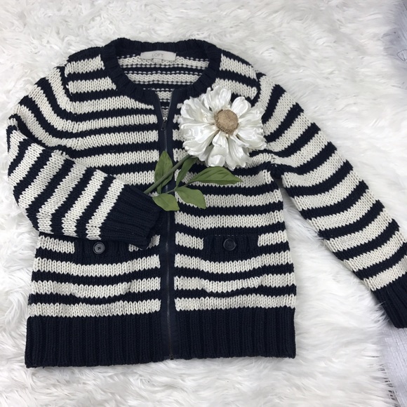 LOFT Sweaters - 💕SALE💕Ann Taylor LOFT Blue Striped Sweater