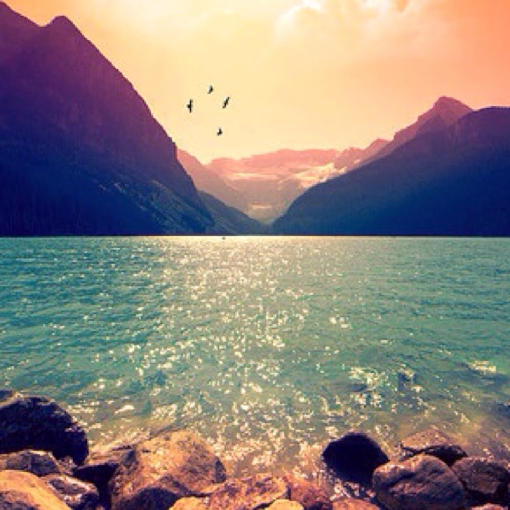 Meet your Posher, Genevieve