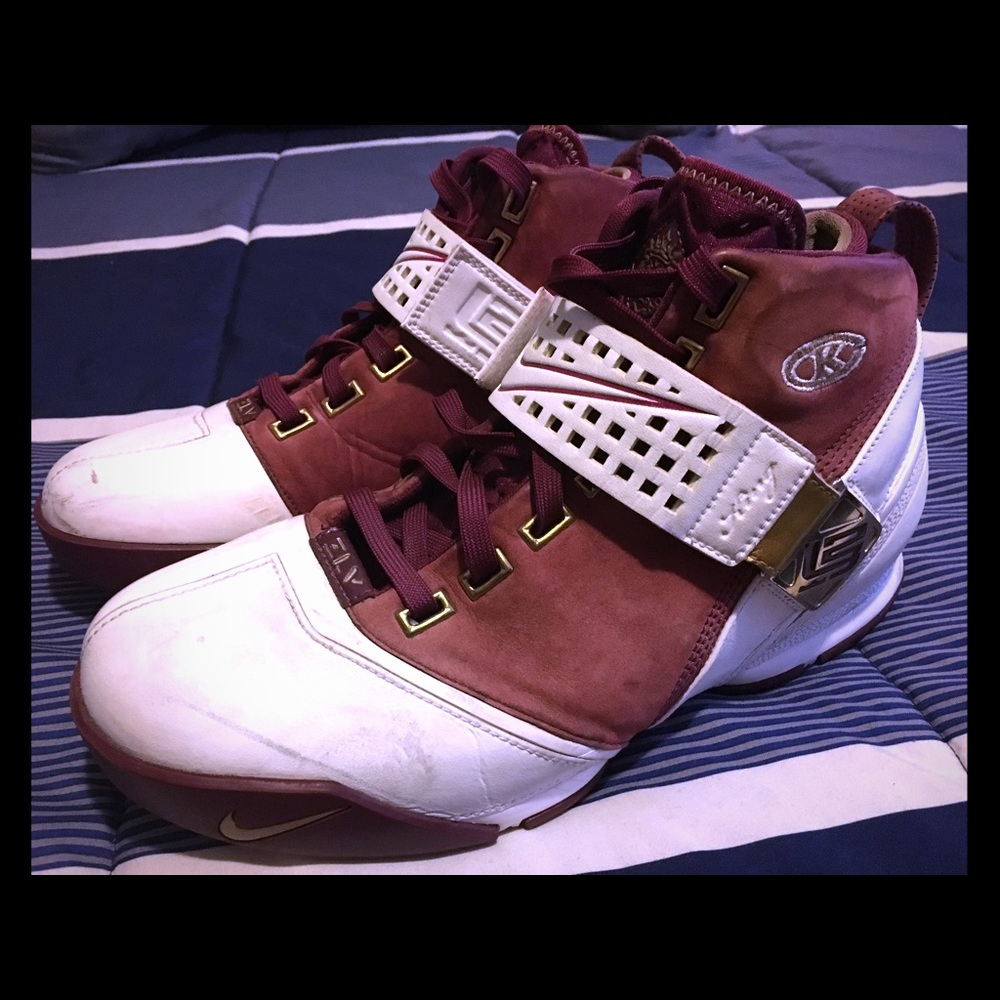 RARE Nike Zoom Lebron V CTK Size 9