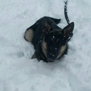 Meet your Posher, Angela