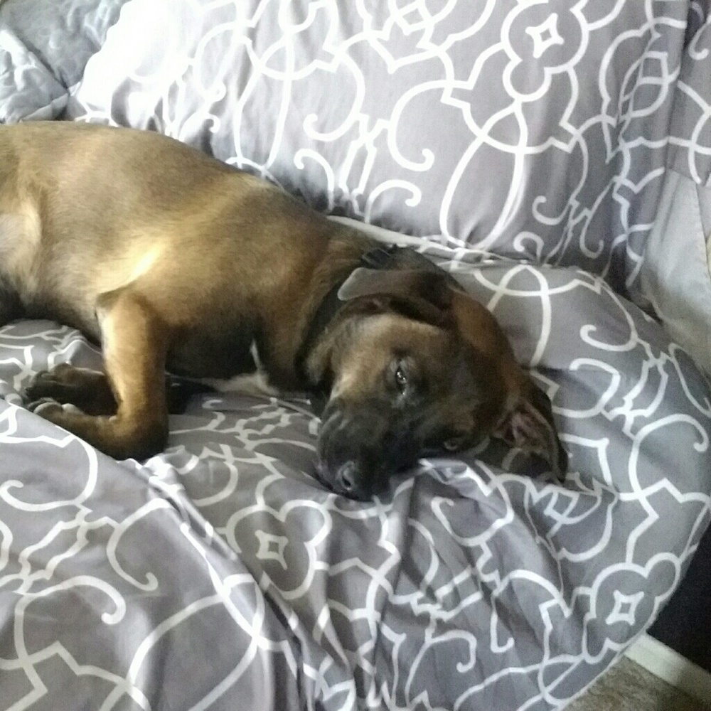 Meet your Posher, Erika