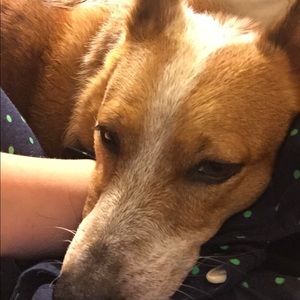 Meet your Posher, Rebeca