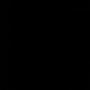 Meet your Posher, Bailey