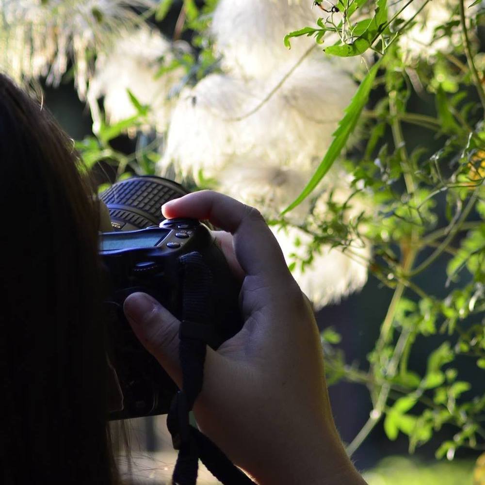 Meet your Posher, Jayden