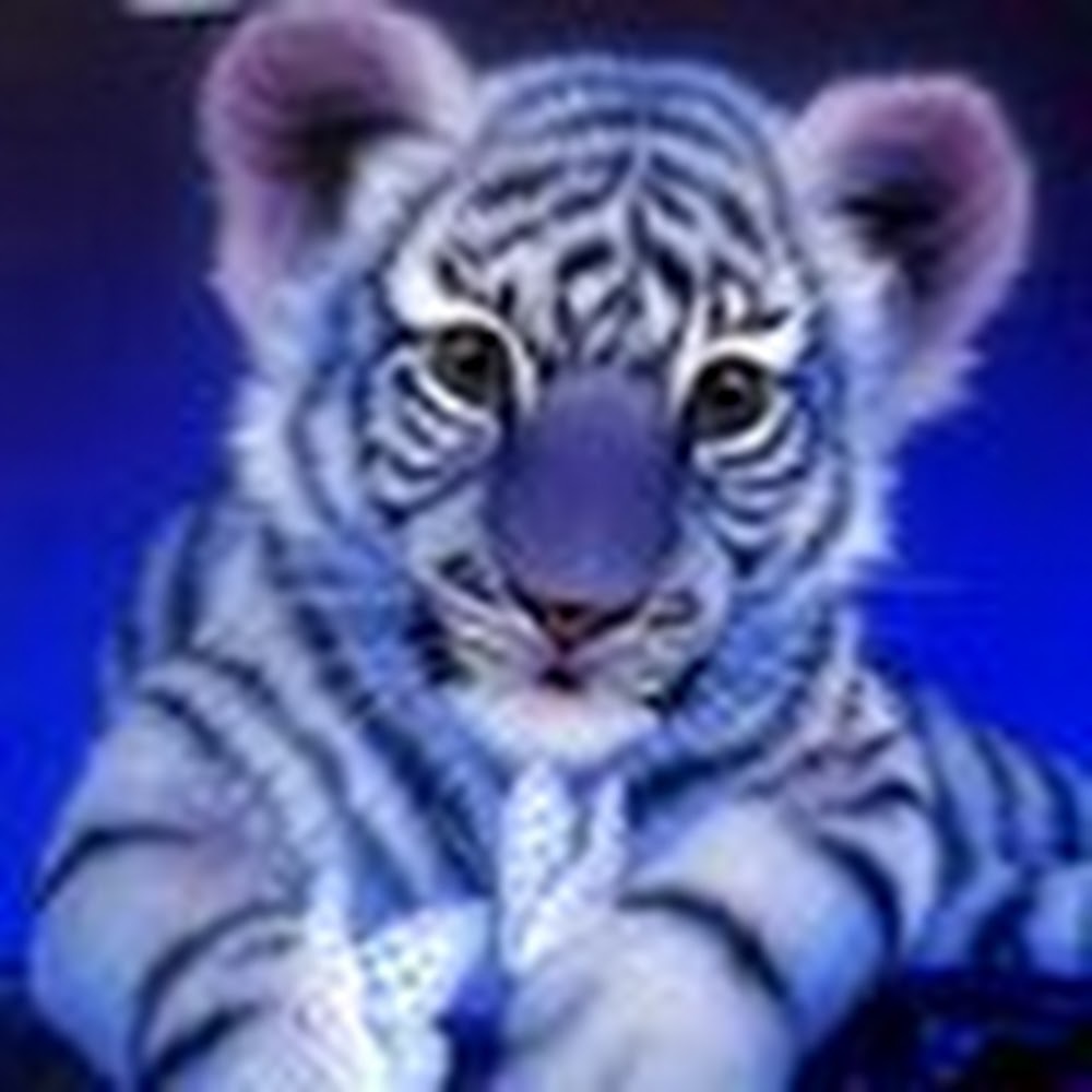 Meet your Posher, Lucy