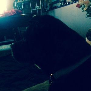 Meet your Posher, Camron