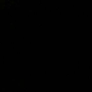 Meet your Posher, Mindy