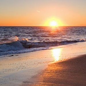 Meet your Posher, Arthur