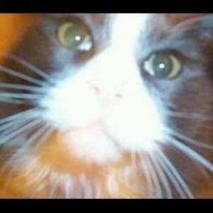 Meet your Posher, Sharon