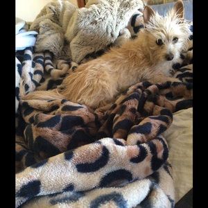 Meet your Posher, Joseph