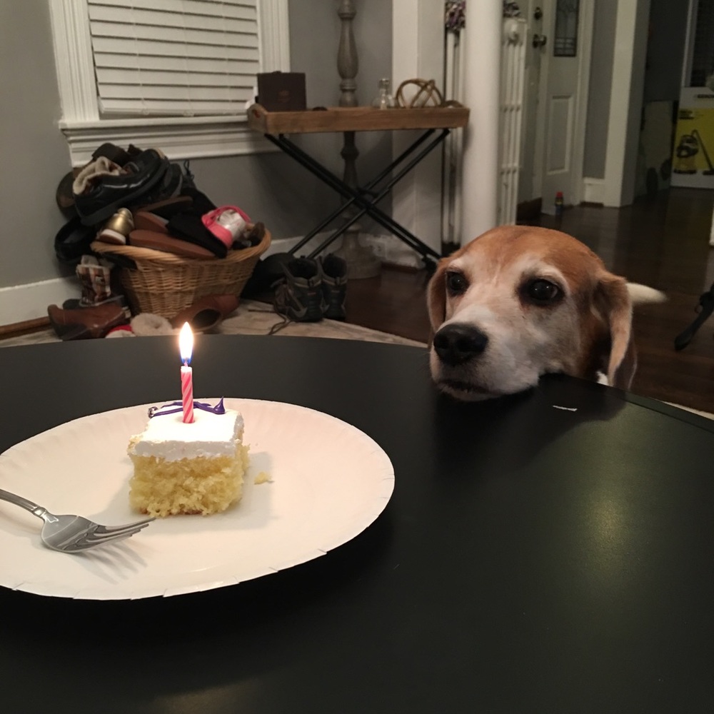 Meet your Posher, Laura