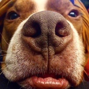 Meet your Posher, Nathan