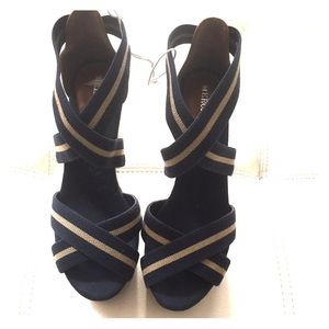 Merona wedge (bundle disc)