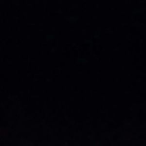 Meet your Posher, Shannelle